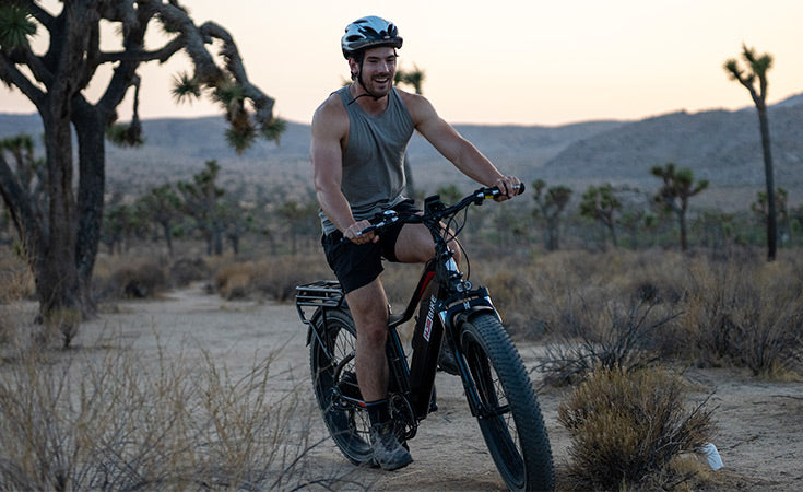 All the Things You Should Know About Traveling With an Ebike