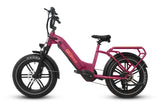 Breeze 20 inch Fat Tire Cargo Ebike(Fully Assembled)