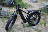 Joyrider High-Step Fat Tire Ebike