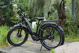 Joyrider Step-Thru Fat Tire Ebike