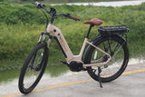 Roamer Mid Drive Motor Torque Sensor Cruiser Ebike