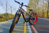 Toury High Step Fat Tire Ebike (Fully Assembled)