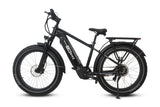 Joyrider High-Step Fat Tire Ebike