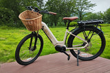 Roamer Mid Drive Motor Torque Sensor Cruiser Ebike