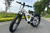 Toury High-Step Electric Bike (Fully Assembled)