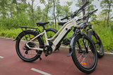 Radiant Minimalist Elegance Commuter City Ebike