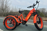 TriHauler Cargo Fat Tire Etrike (Fully Assembled)