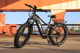 Toury High-Step Electric Bike (Fully Assembled) black