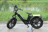 Breeze 20 inch Fat Tire Cargo Ebike(Fully Assembled)